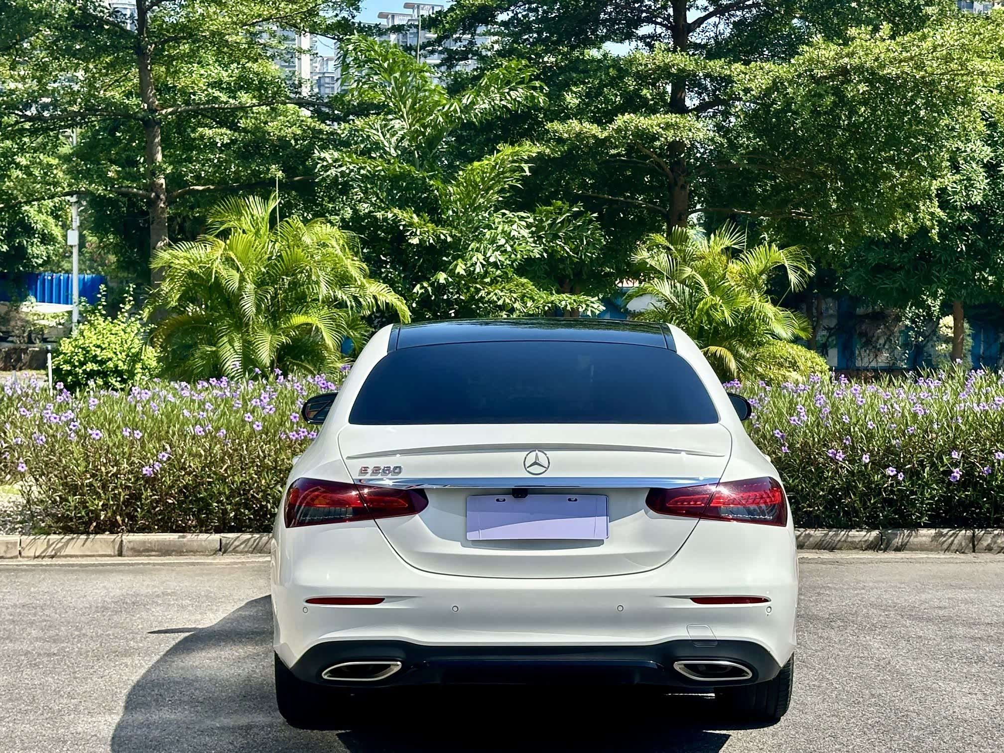  E-Class (imported)